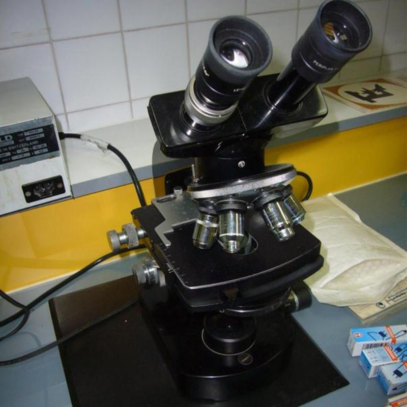 Microscope binoculaire WILD M20
